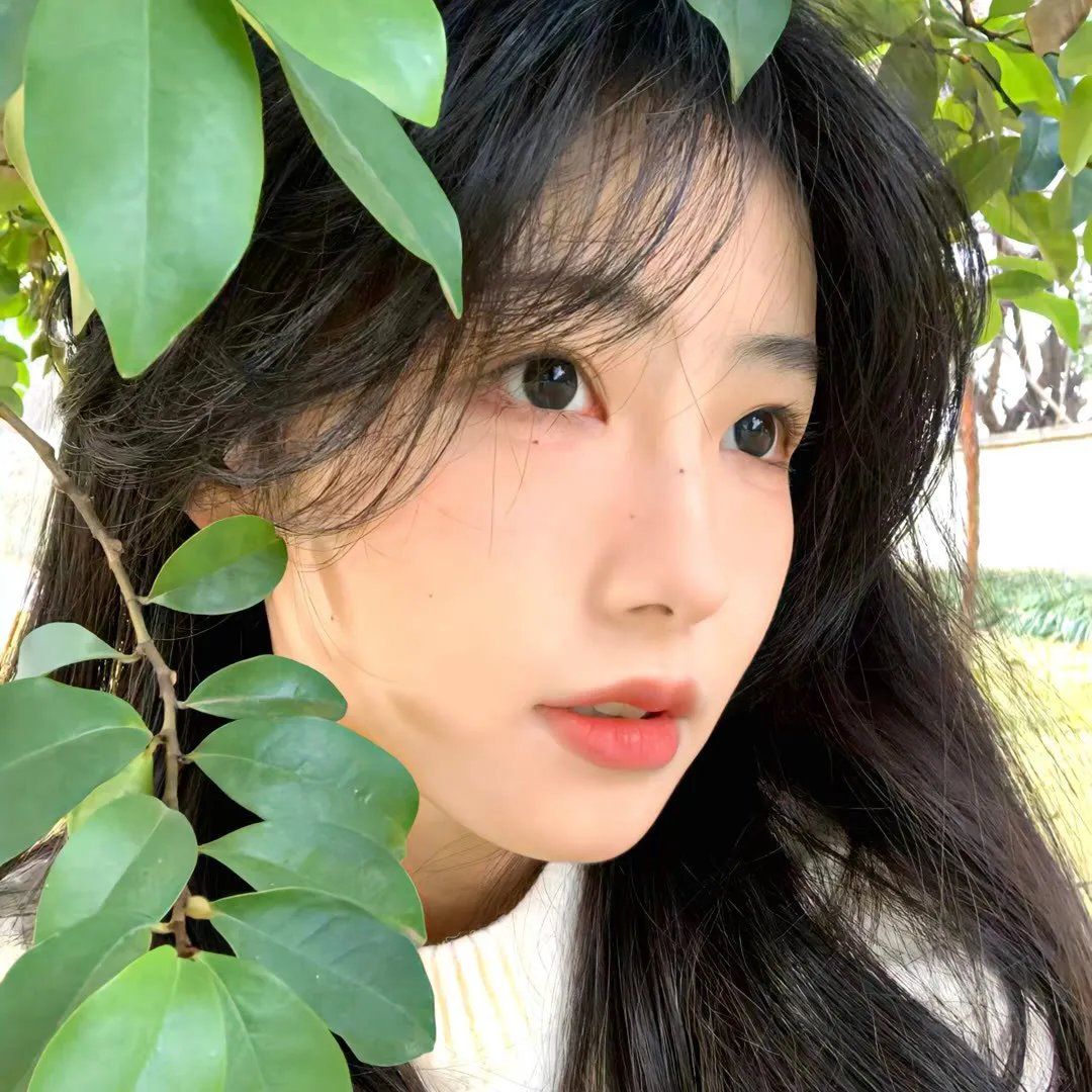 最后的卡蜜儿